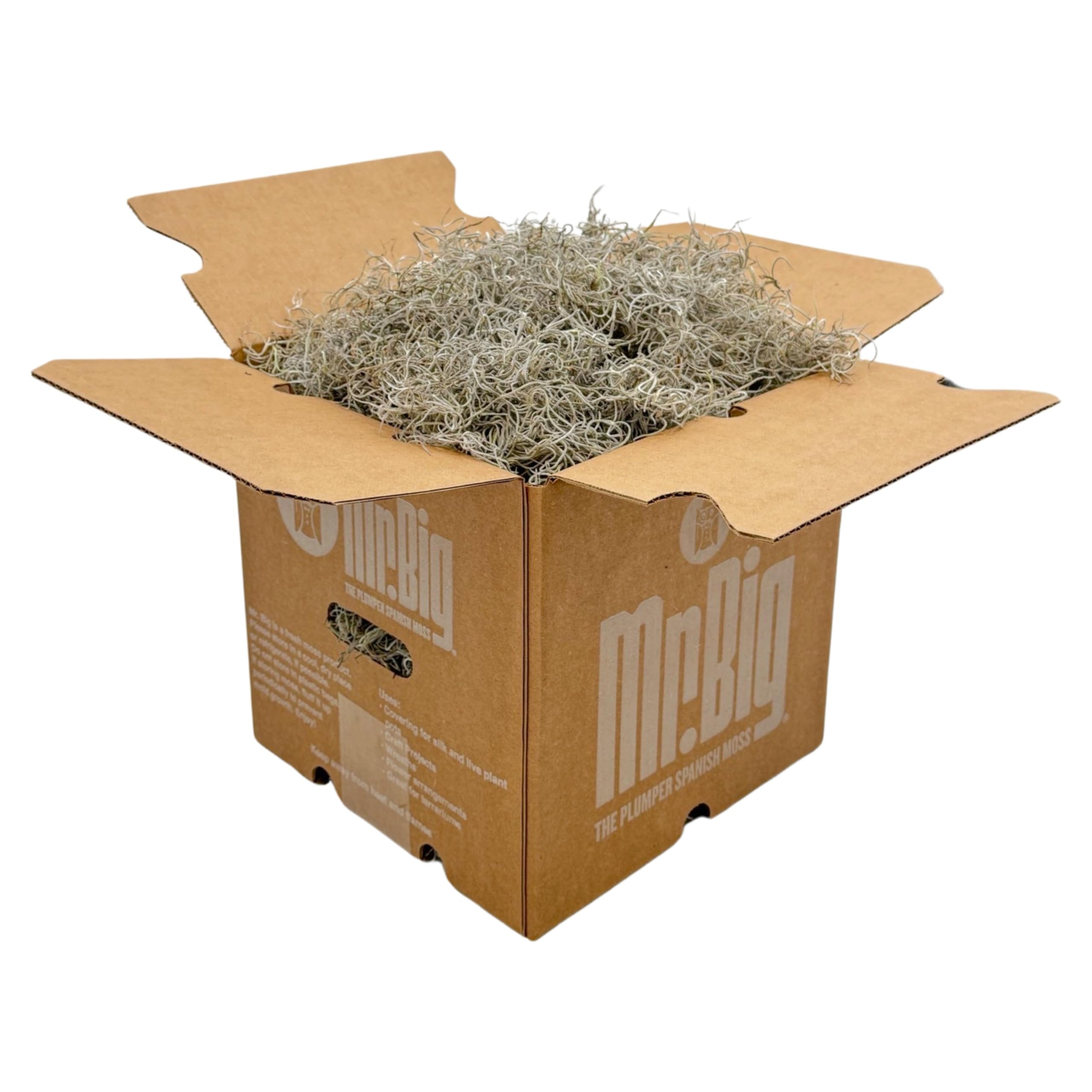 Amazon.com: Quality Growers - Mr. Big Fresh Preserved Spanish Moss